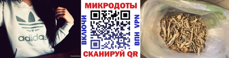 Купить закладки  Кизляр  Галлюциногенные грибы GOLDEN TEACHER 